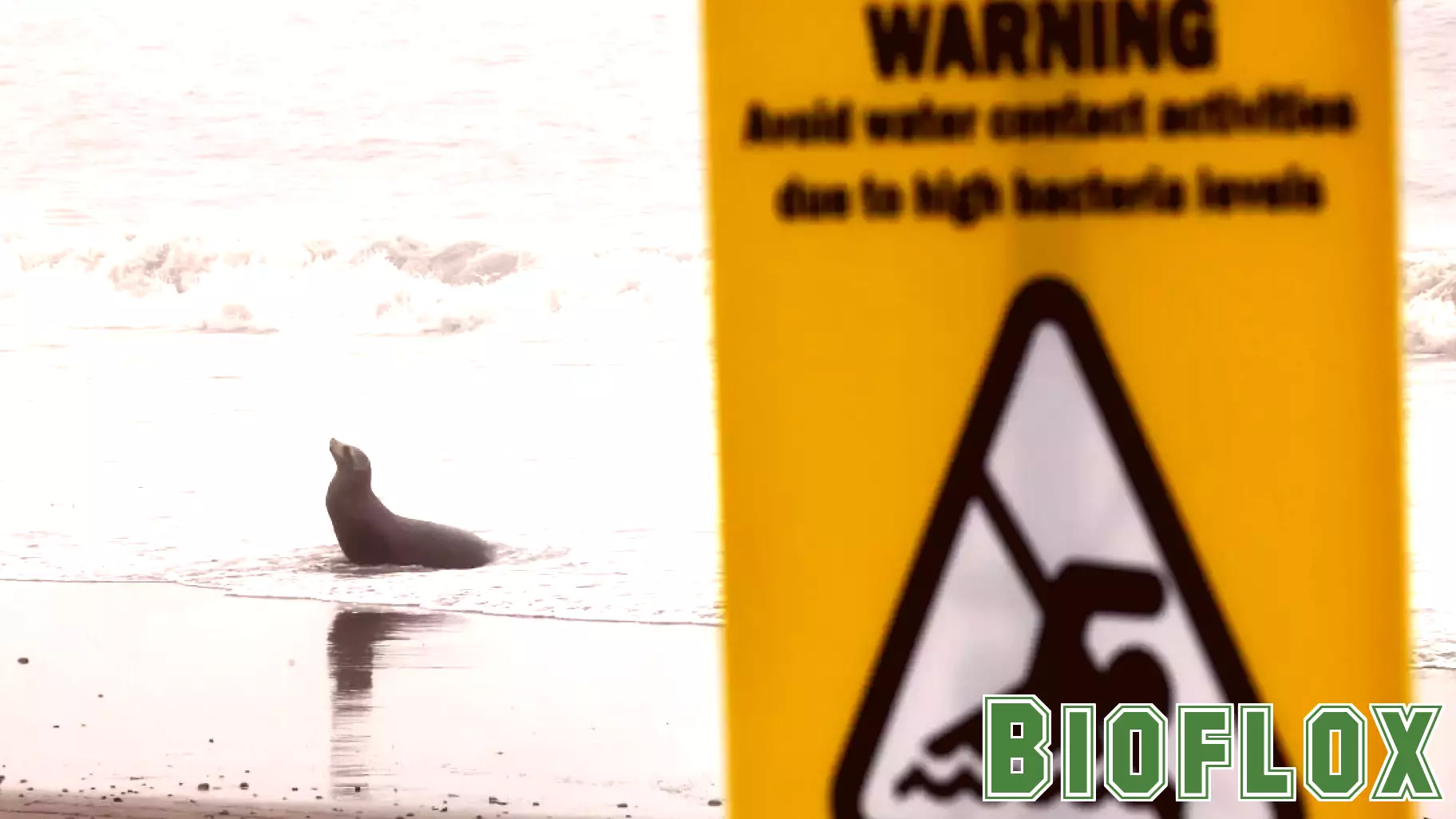 Beaches in Los Angeles County Declared Safe for Swimming After Fire Advisory Lifted