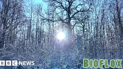 Extended Cold Weather Health Warning Across the South East